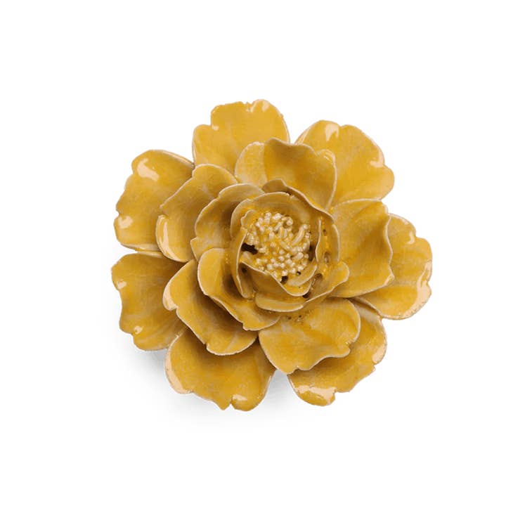 Rose florale de juin fraîche de printemps - Rose pour la vente par Chive EU