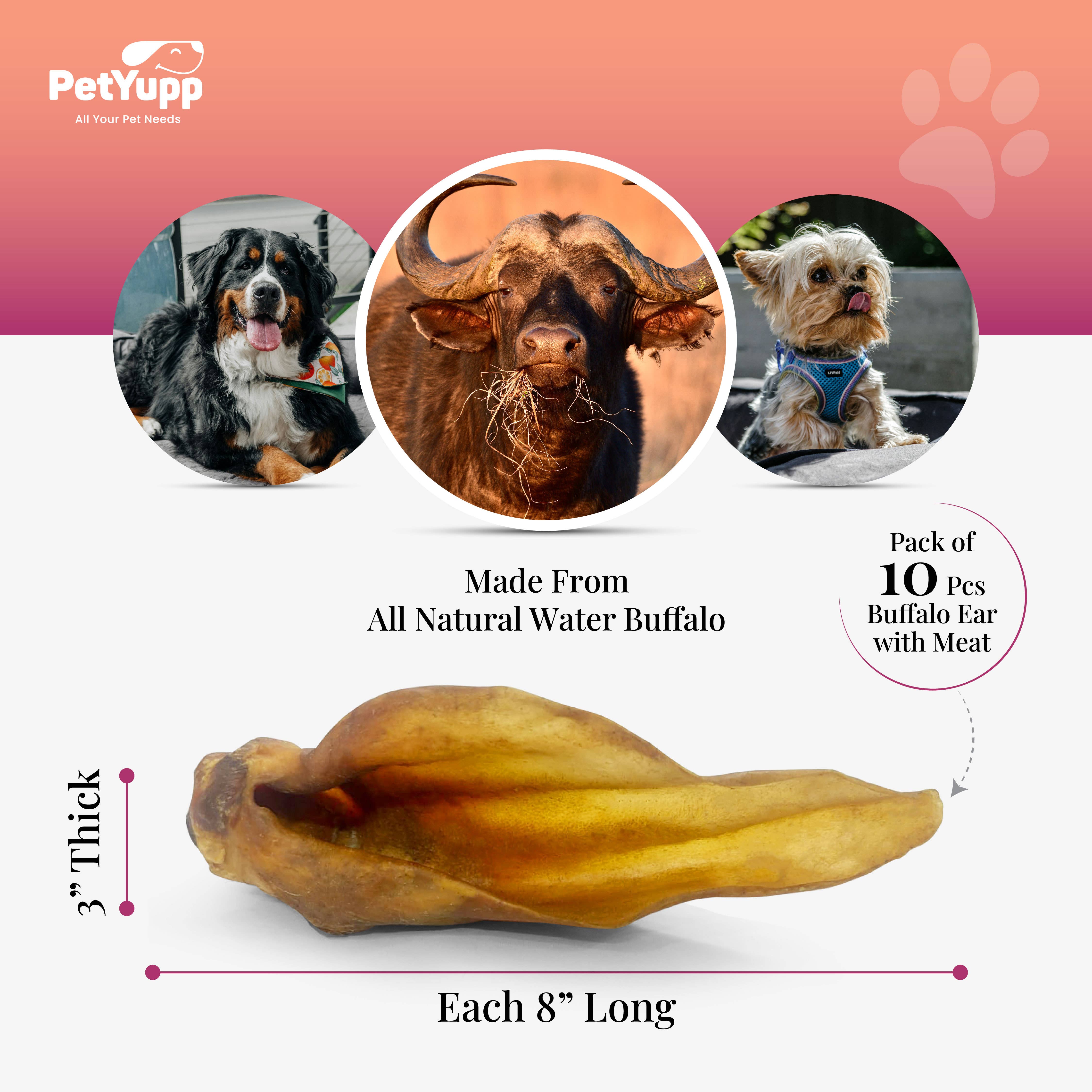 PetYupp - Wholesale Pet Treats - Dog - Water Buffalo Ear with Meat Dog Chew - (10 Pcs) 100% Natural Dog Treats Dog Sizes3