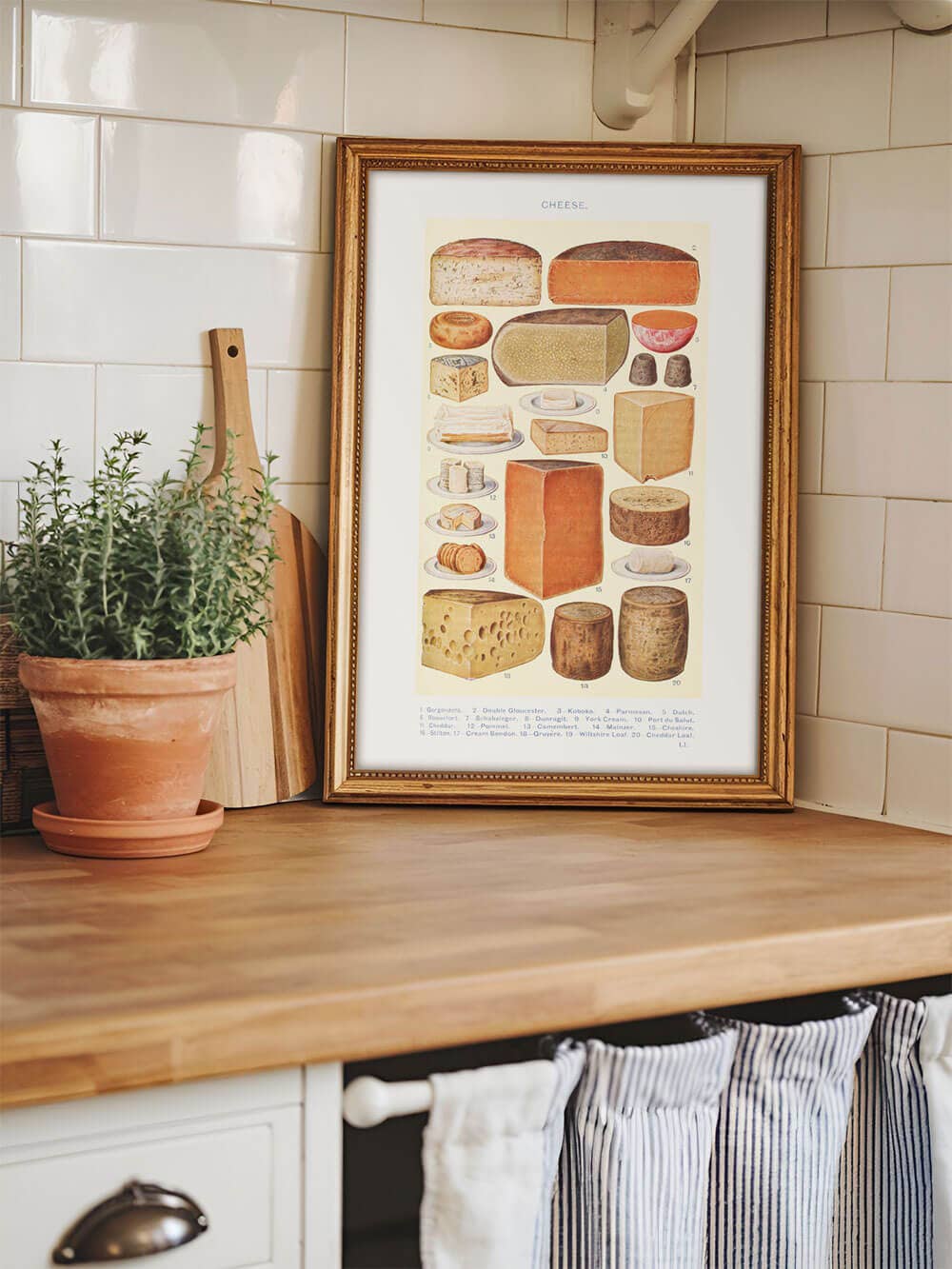 Modern Antique Prints - Wholesale Kunstprint - Vintage illustratie van kaassoorten – kunstafdruk uit Mrs. Beeton's huishoudboek1