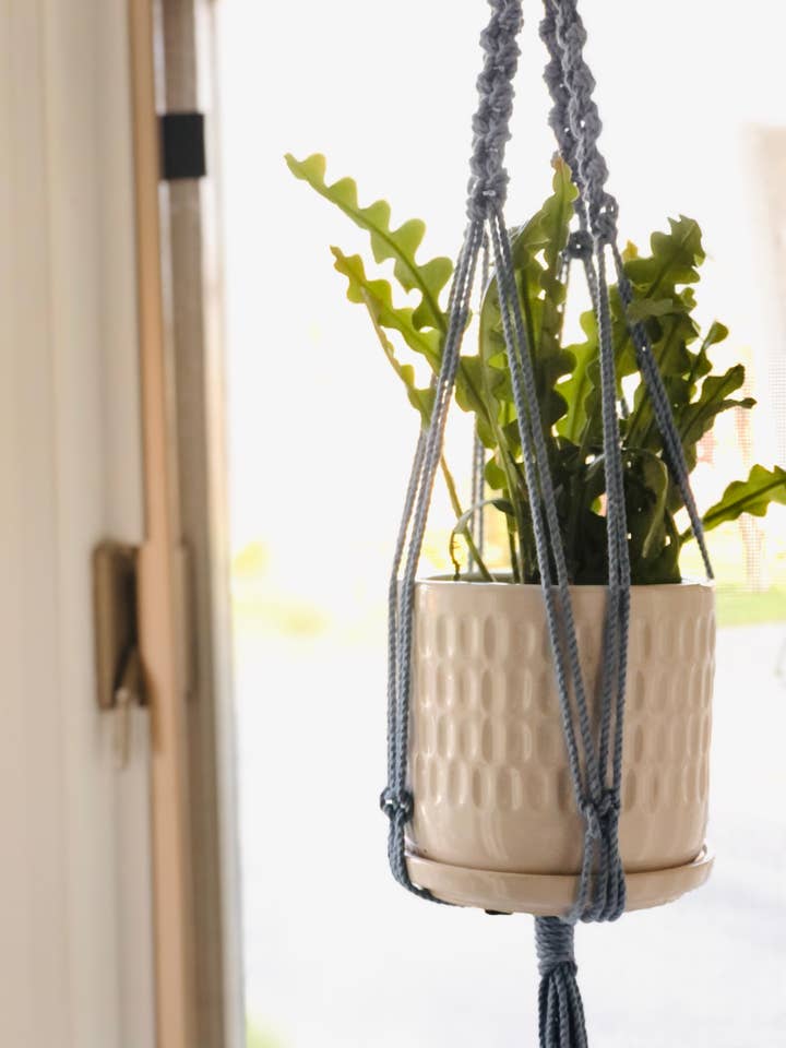 Maceta colgante, colgador de plantas de macramé, colgador de plantas pequeñas para venta al por mayor de Make My Day Design