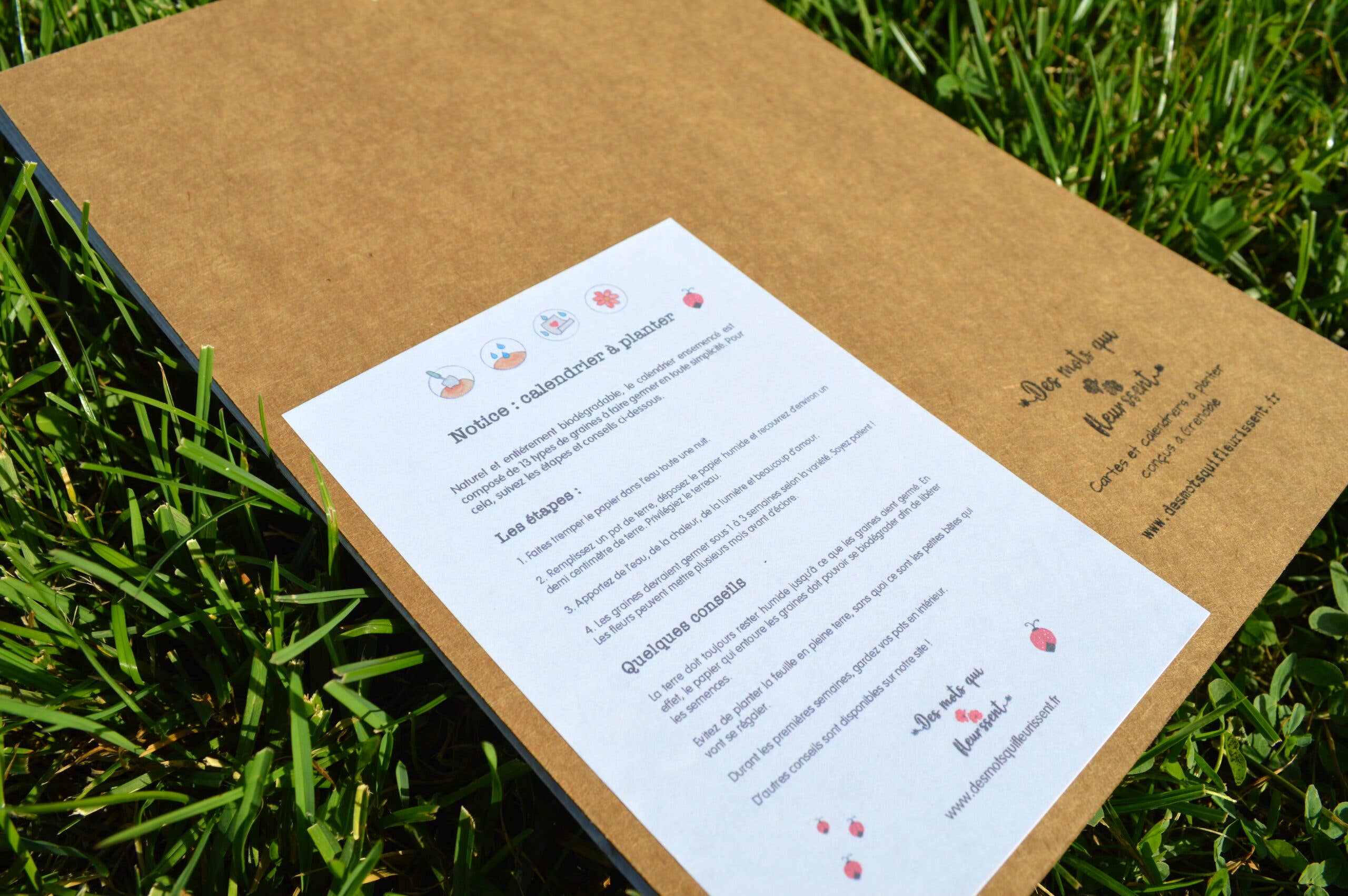 Des Mots Qui Fleurissent - Wholesale Calendar - 2026 Garden Planting Calendar4