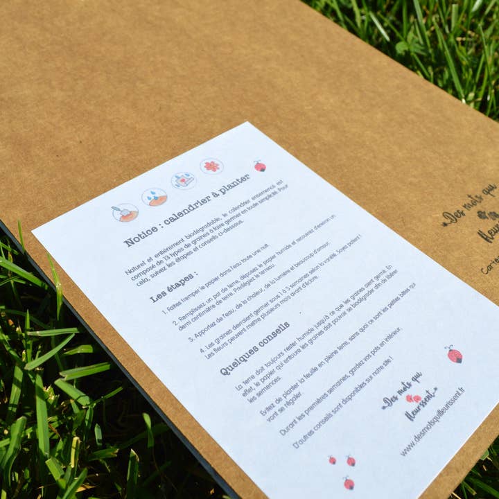 Des Mots Qui Fleurissent - Wholesale Calendar - 2026 Garden Planting Calendar4