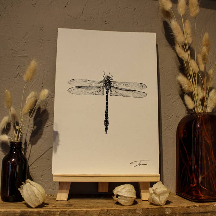 Impressão de libélula por atacado de Studio Wotton