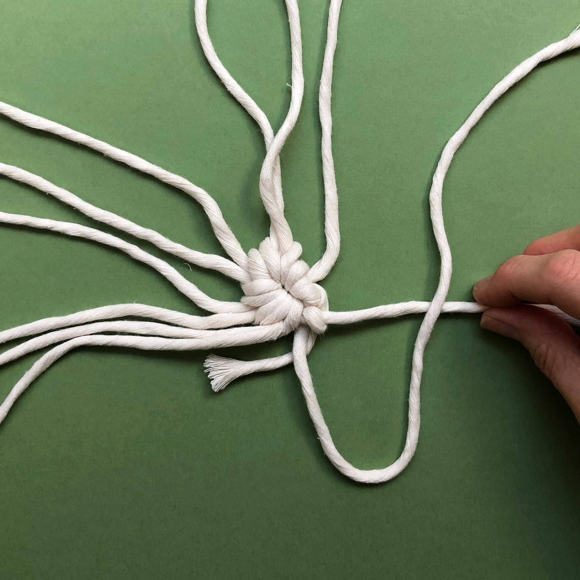 Bergin & Bath - Venta al por mayor Kit de manualidades - Kit de Macramé Posavasos - Rosa Rubor, Verde Laurel y Beige6