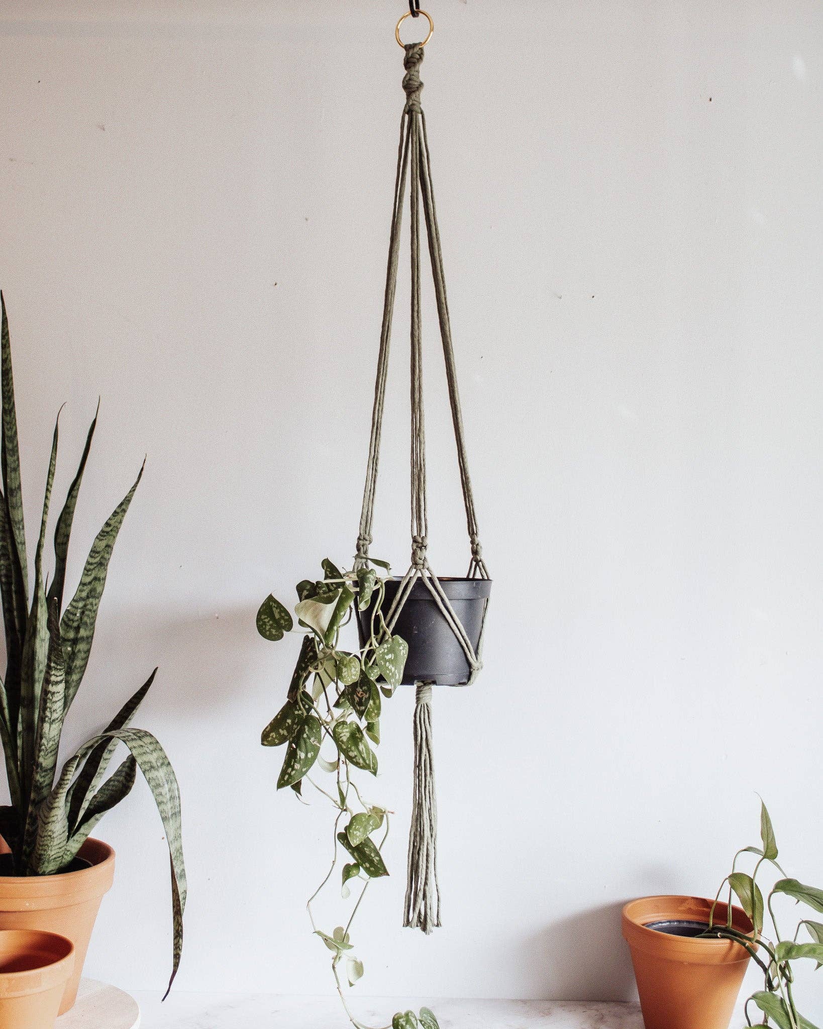 Modern Bo Studio - Wholesale Hanging Planter - Basic Macrame Plant Hanger5