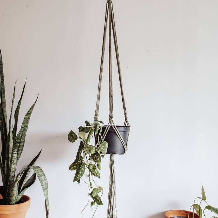 Modern Bo Studio - Wholesale Hanging Planter - Basic Macrame Plant Hanger5