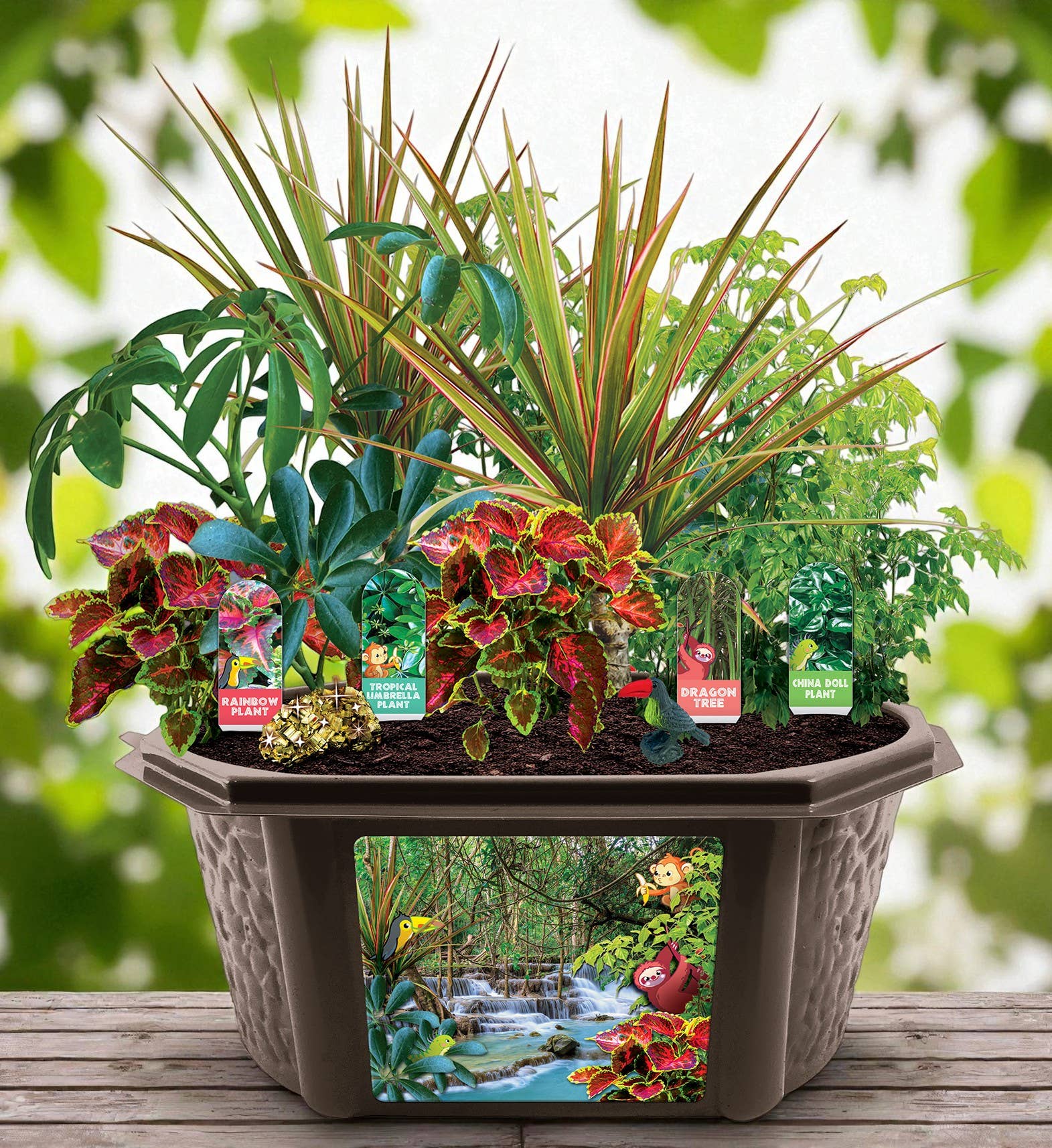 Silver Circle Products - Wholesale DIY Craft Kit - Kids - Tropical Rainforest Jungle Biosphere Terrarium2