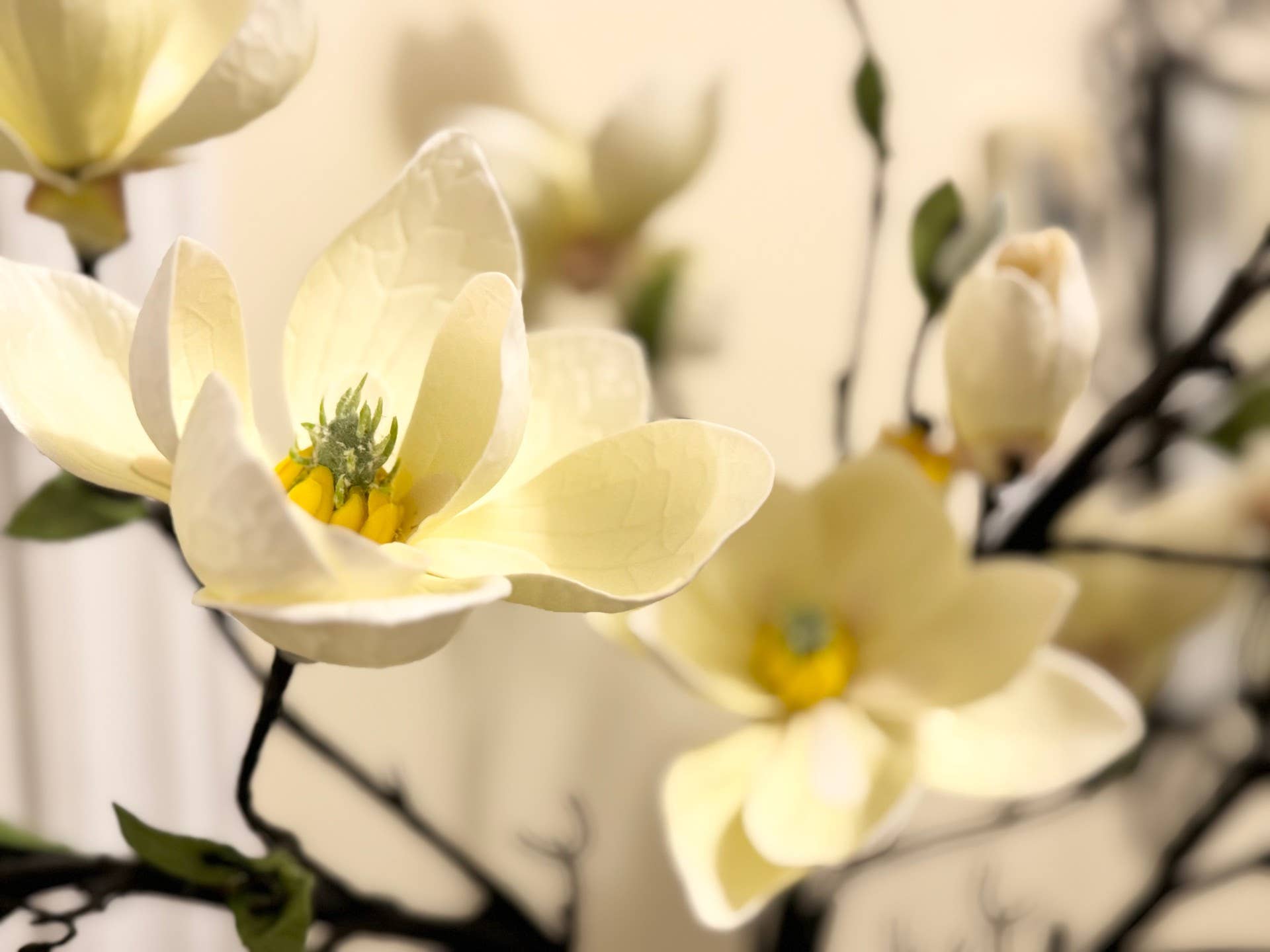 One Way Home – Flores artificiais por atacado – Flores de Magnólia Premium Falsas, Galhos de Árvore de Magnólia Artificial2