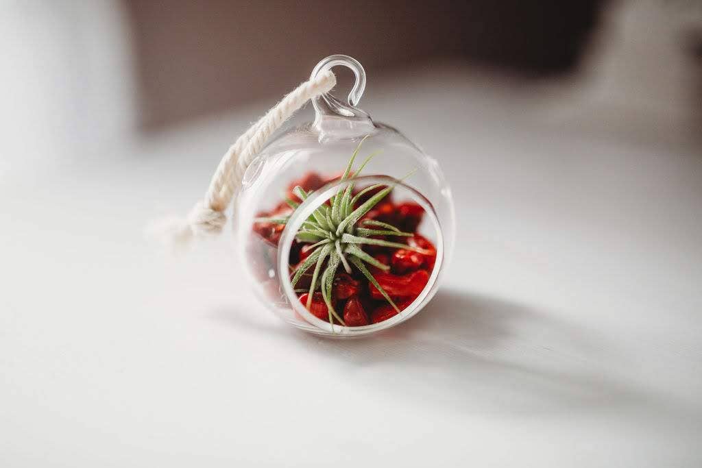 The Simply Crafty Shop - Wholesale Terrarium - Mini Orb Air Plant Terrarium Kit - Semi-Precious Stone3