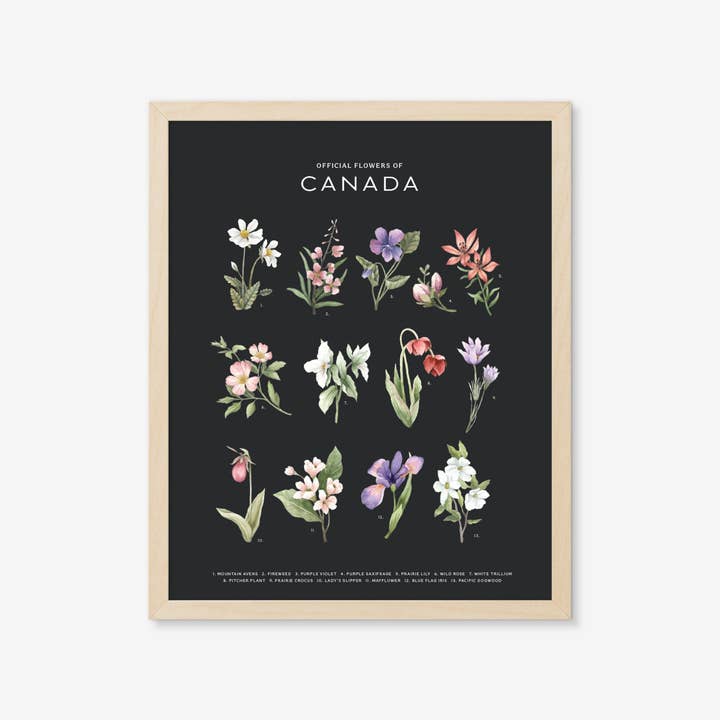 Natasha Vanderburg Co. - Wholesale Art Print - Official Flowers of Canada Art Print