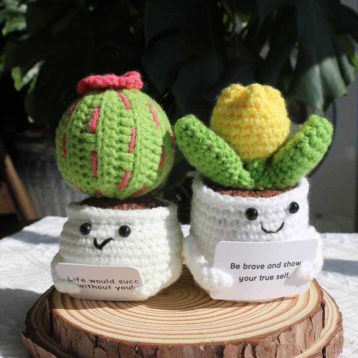 TOMOPOD LLC - Wholesale Christmas decoration - Crochet Cactus Plant, Crochet Mini Succulent Plant Pot8