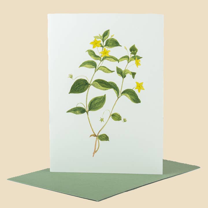 Sophia Davenport - Wholesale Everyday Greeting Card - Wildflower Greeting Cards and Notelets58