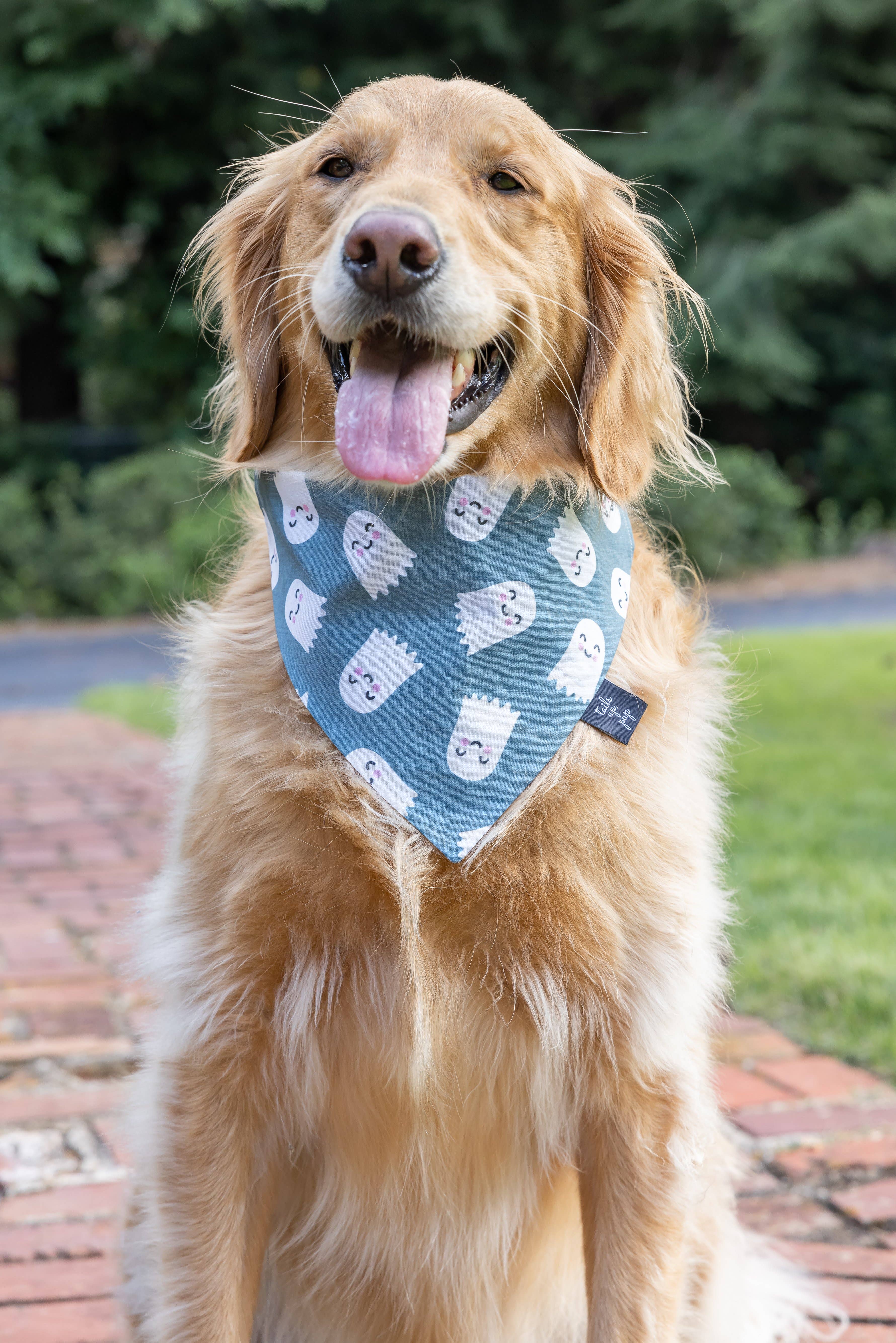 Tails Up, Pup - Wholesale Pet Bandana - Dog - Ghost Dog Bandana - Halloween Dog Bandana