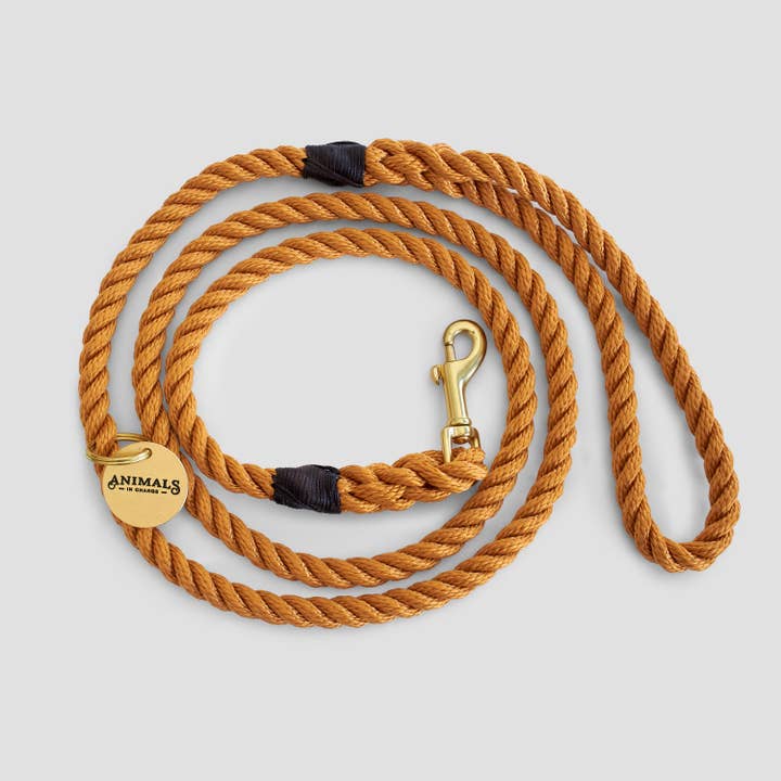 Animals in Charge - Wholesale Pet leash – Dog - Rope Dog Leash - Harvest Yellow1