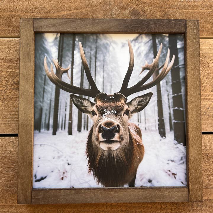 Floresta Rena por atacado de B & C Signs