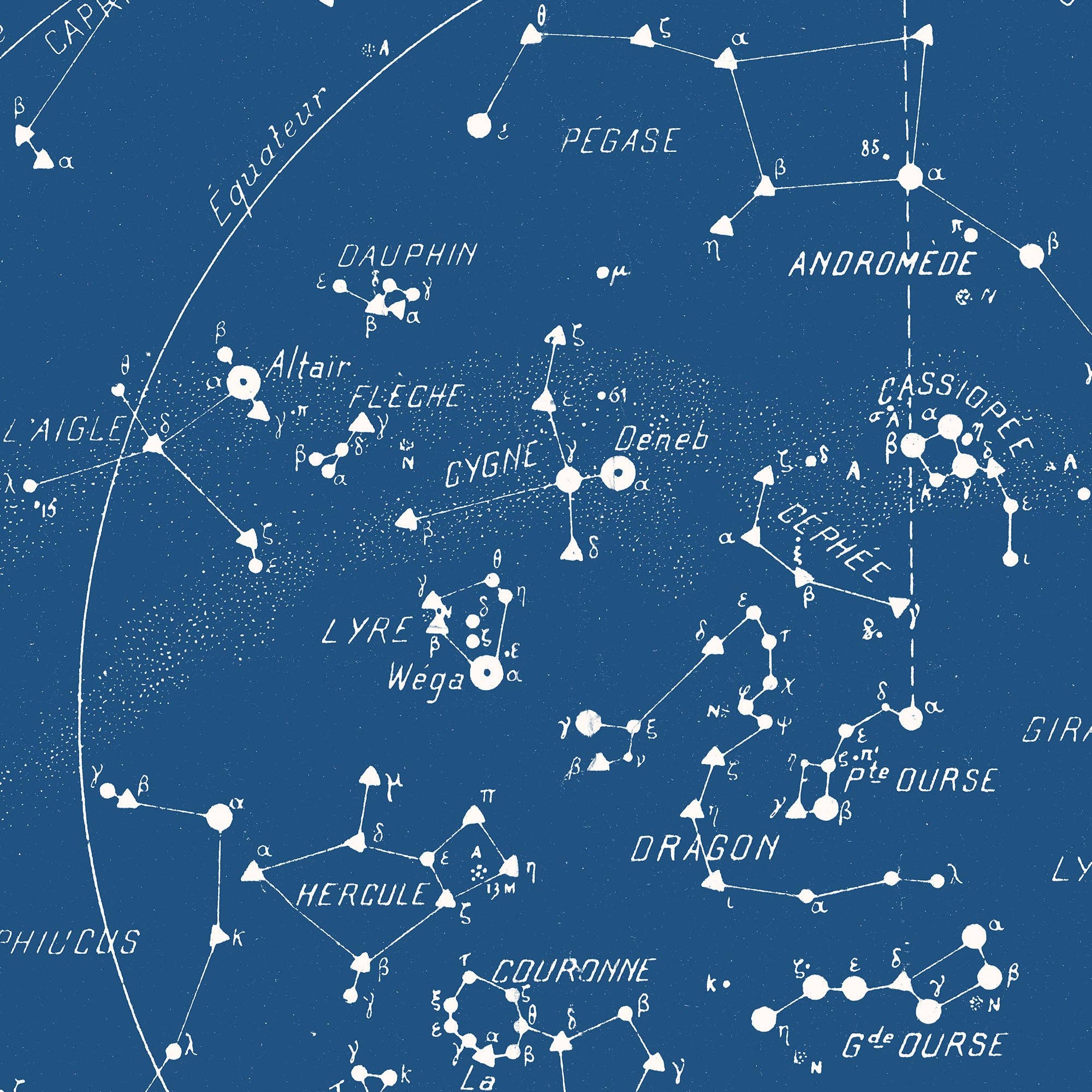 Aster Edition - Wholesale Poster - Poster: Sky Map - Constellations3