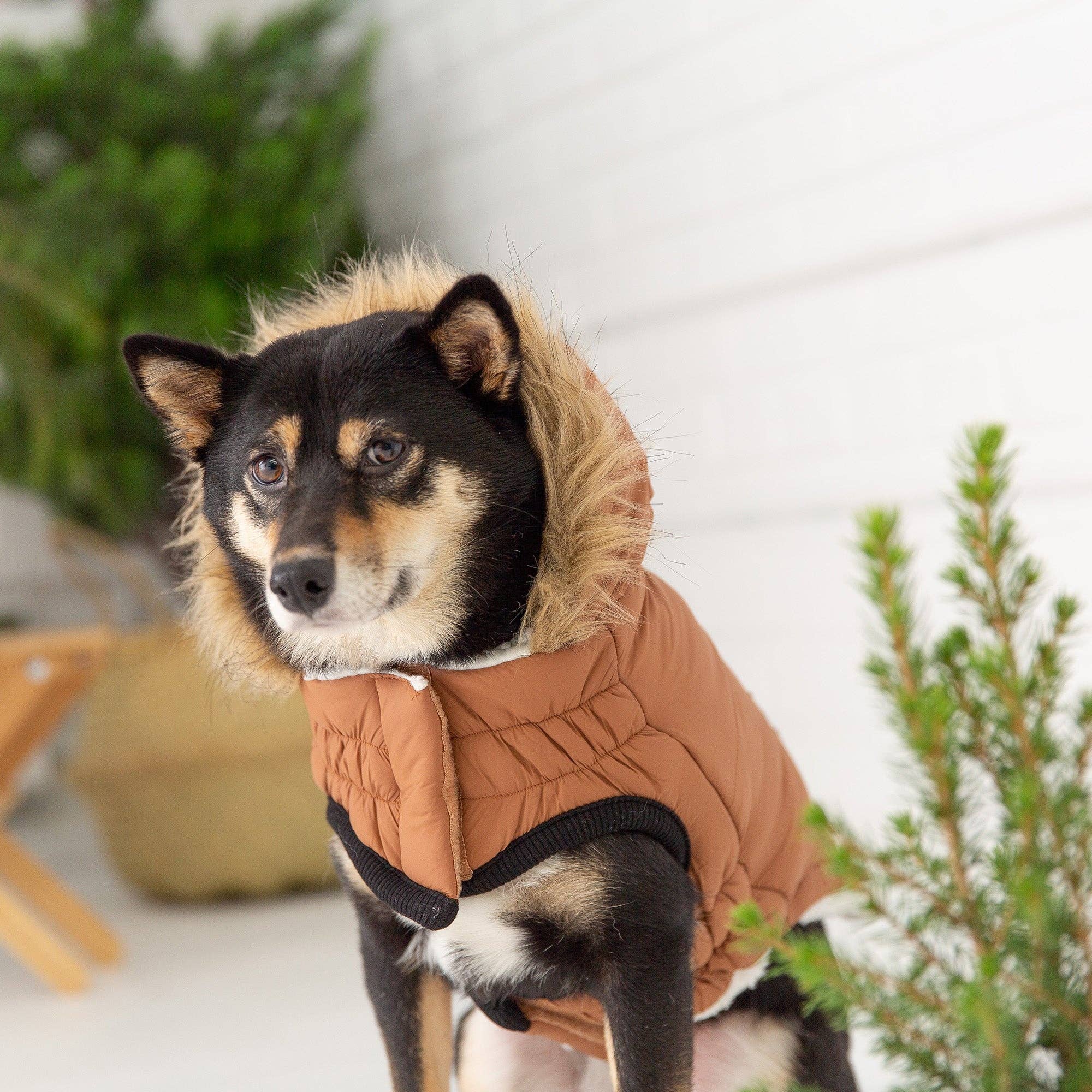 GF Pet - Wholesale Pet Coat - Dog - GF Pet Elasto-Fit Urban Parka - Caramel5