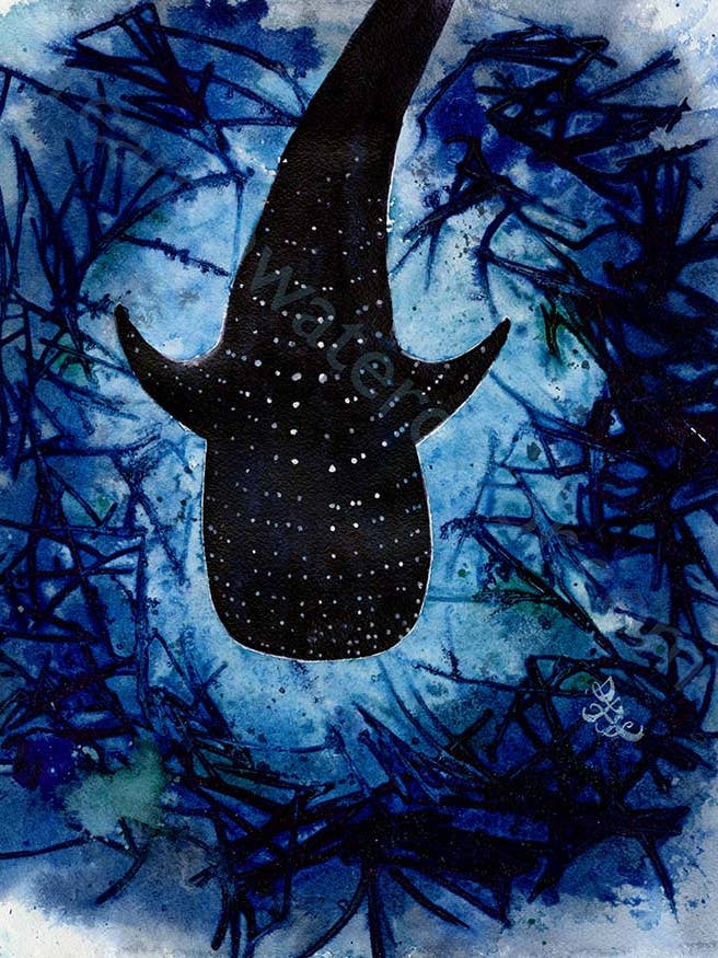 Whale Shark - Ocean Collection Print for wholesale by Dream In Watercolor
