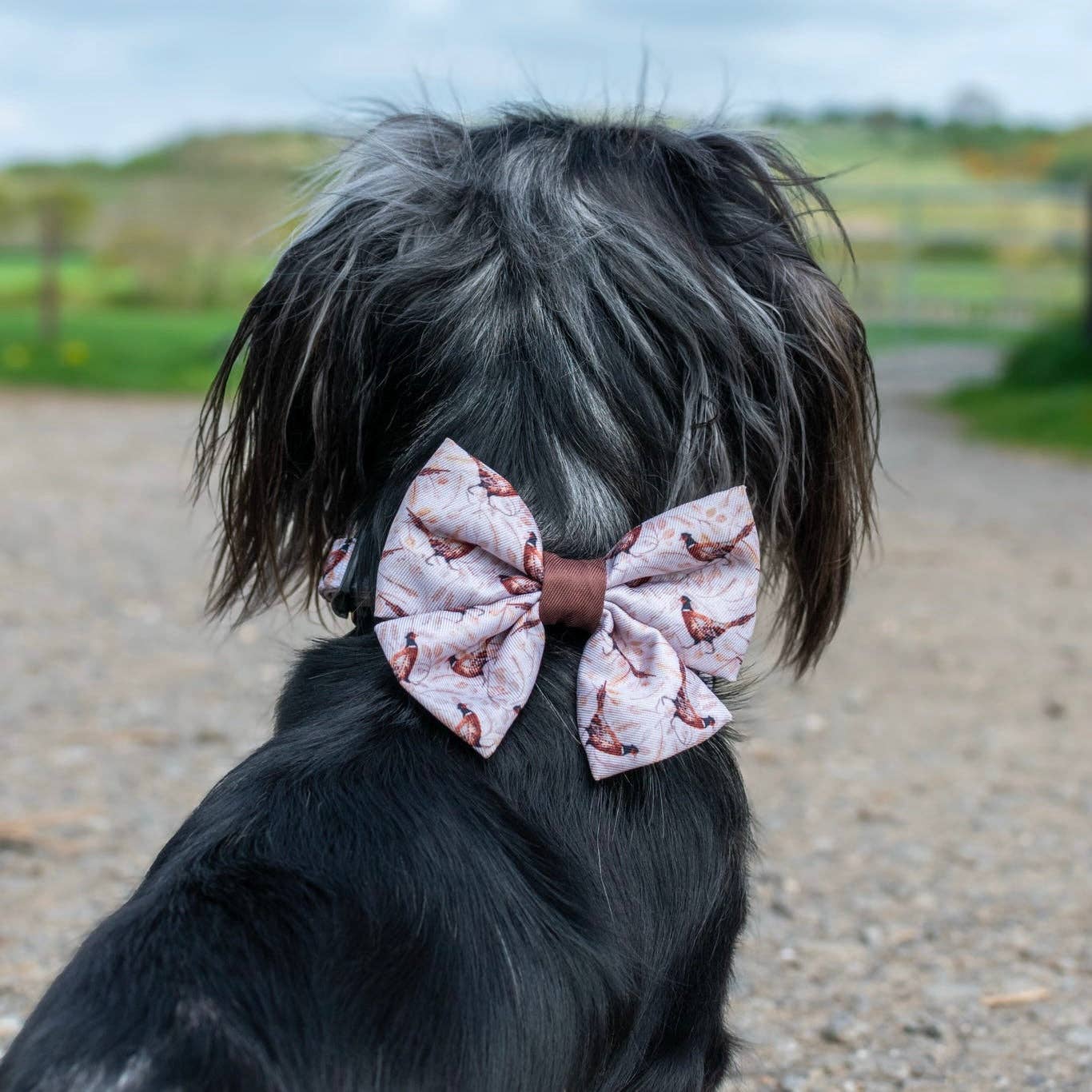 The aDoraBle Pooch Company – wholesale Pet bow tie – Dog – Dog Sailor Bow Tie - Farmland Pheasant8