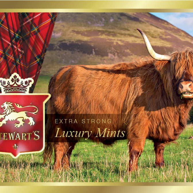 Highland Cow Mint Tin - 40g for wholesale by Stewart's Scotland