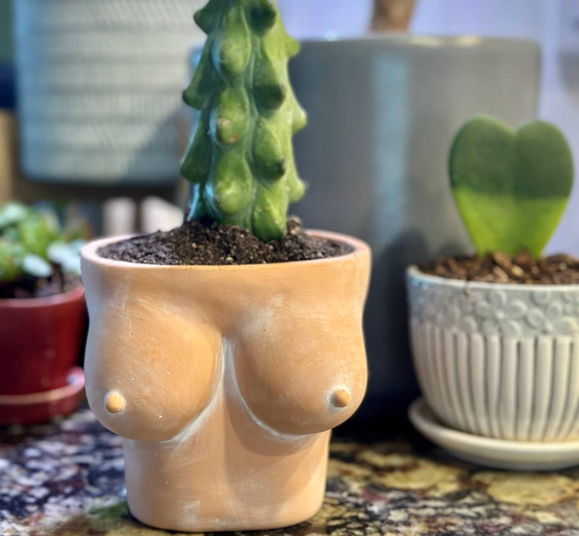 Simply Supplied Co – wholesale Kruka – Boob Kruka | Terrakotta Kruka | Roliga Bröst Kaktus Unik13