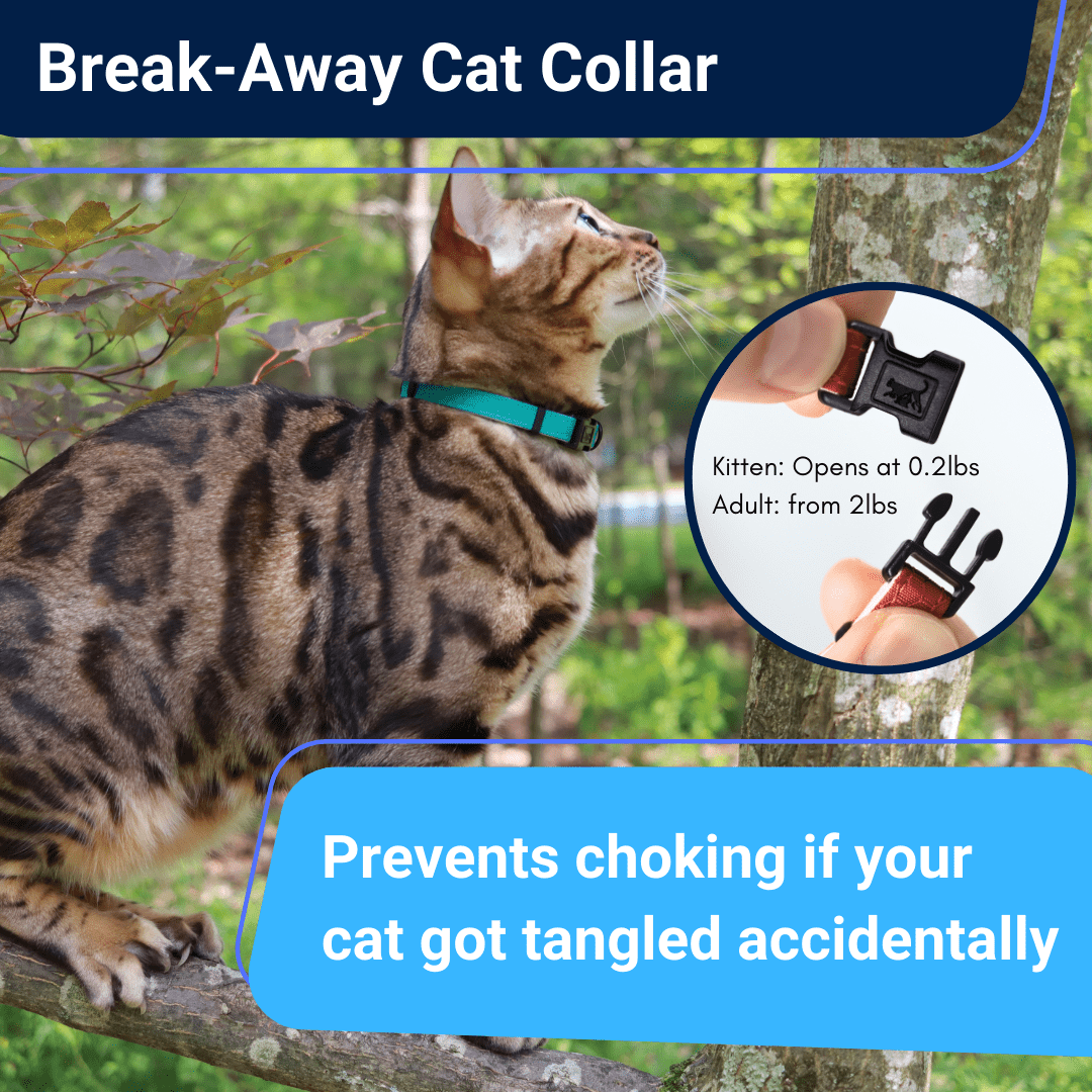 Outdoor Bengal - Wholesale Pet Collar - Cat - Durable Break-Away Cat Collar8