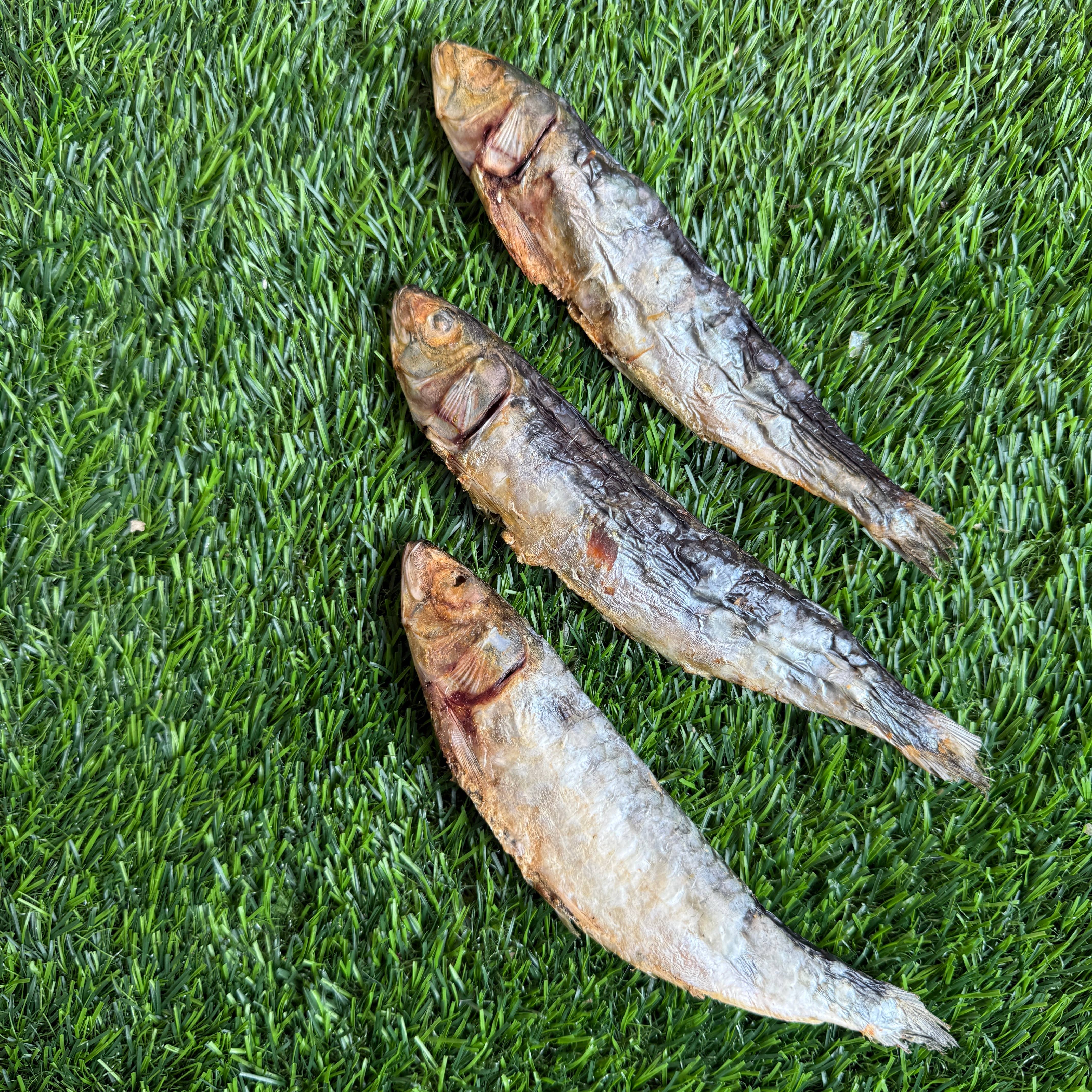 Golden Nibbles - Wholesale Pet Treats - Dog - Sardines - 5" to 7" in & Freeze-Dried Treat for Dogs & Cats3