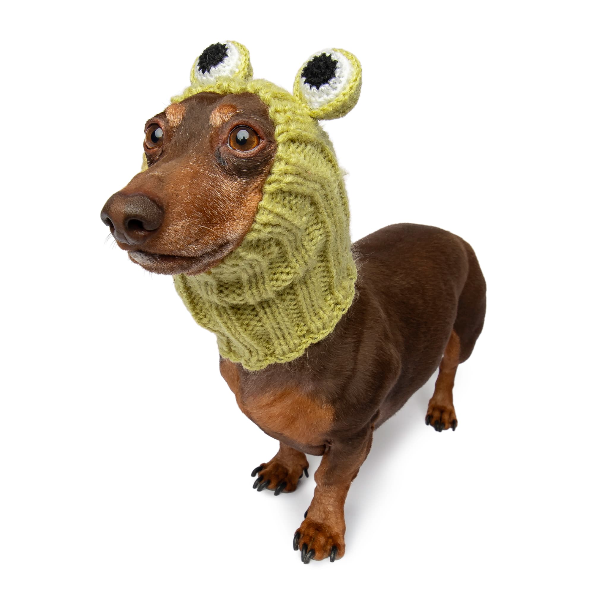 Zoo Snoods - Wholesale Pet Snood - Dog - Frog Dog Snood