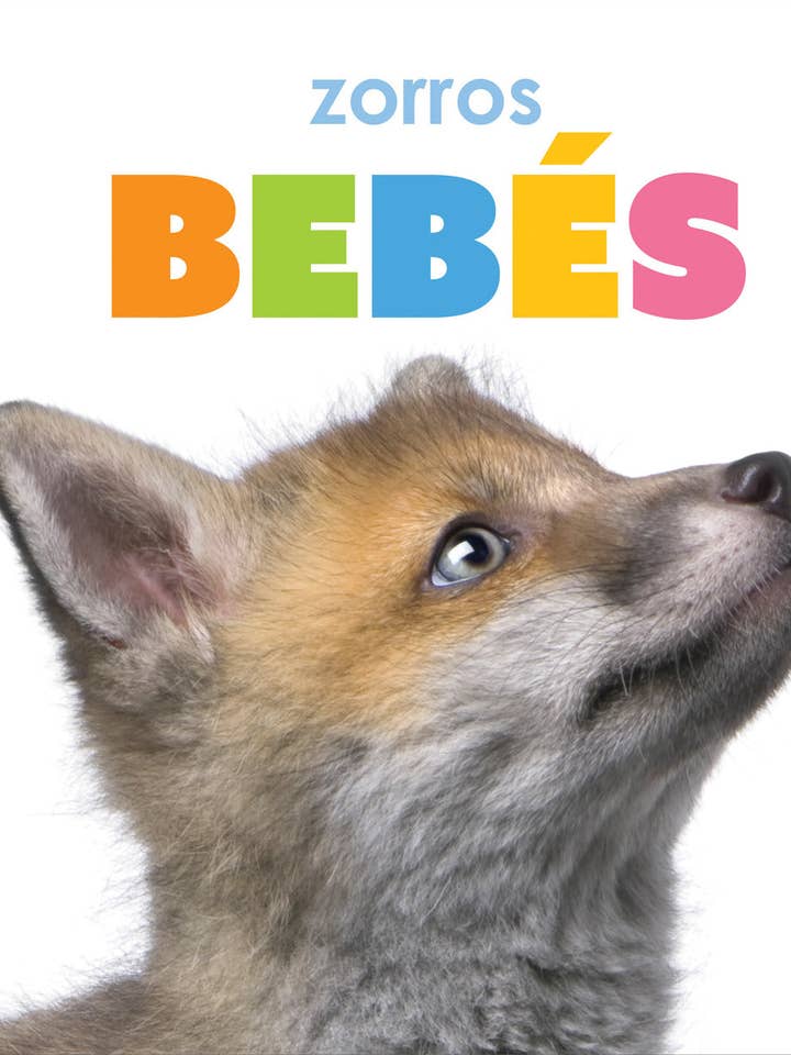 El principio de los: zorros bebés para venta al por mayor de The Creative Company