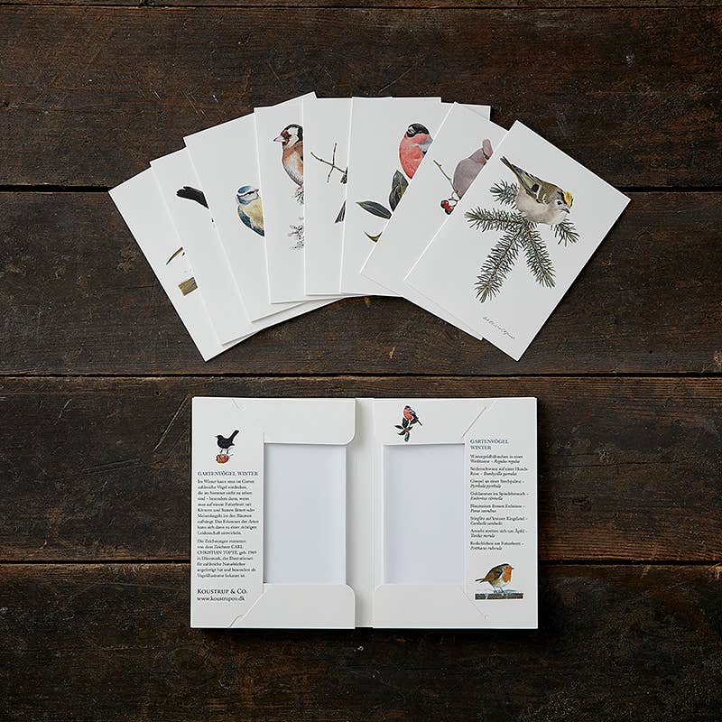 Koustrupco - Wholesale Everyday Greeting Card - Cardfolder Gartenvögel Winter - 8 cards w/envelopes (german)2