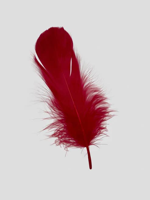 Finner 12-15 cm Tomatrød for engroshandel hos Enkels Feathers