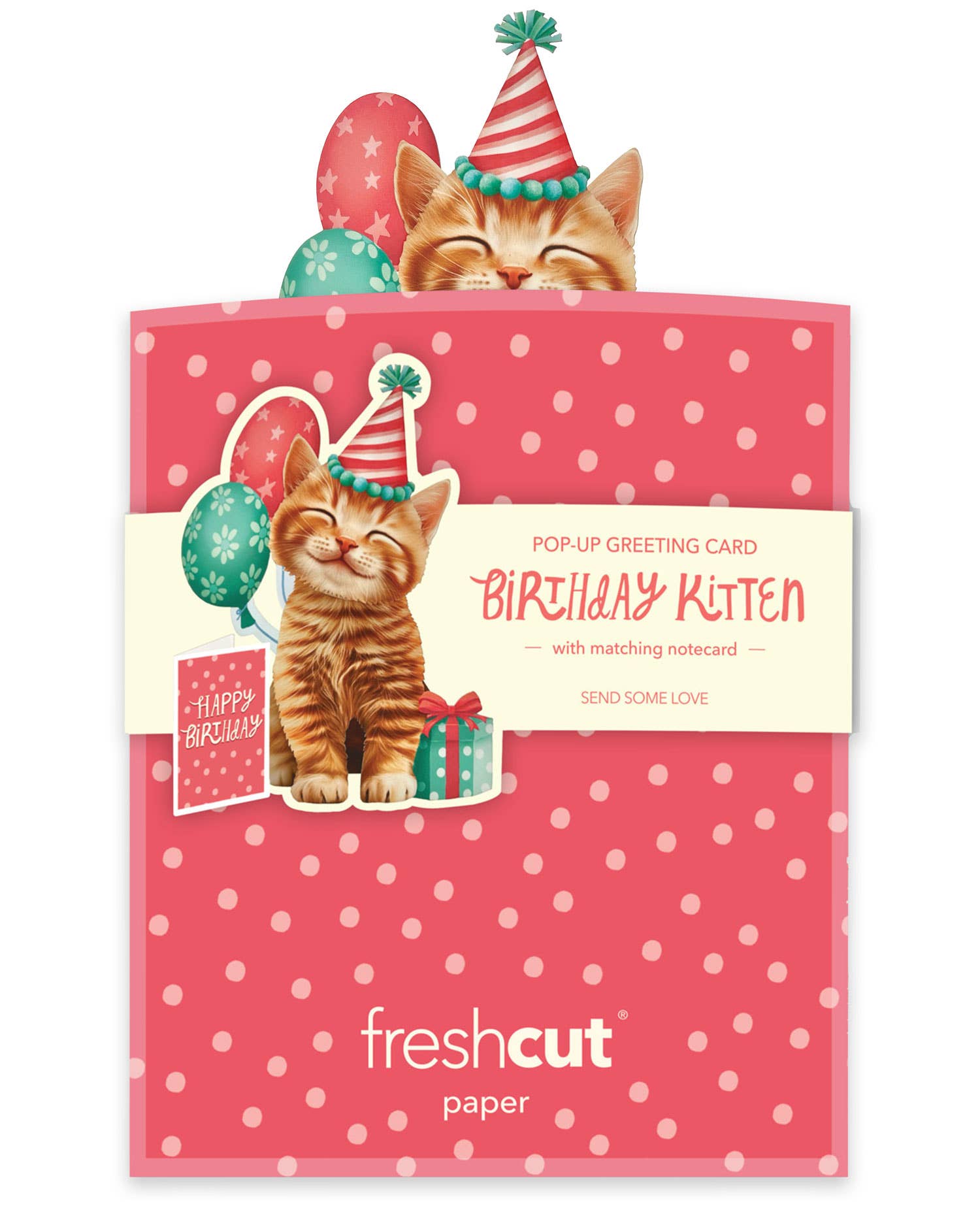 FreshCut Paper LLC - Wholesale Everyday Greeting Card - Mini Birthday Kitten (10 Mini Pop-up Greeting Cards)4