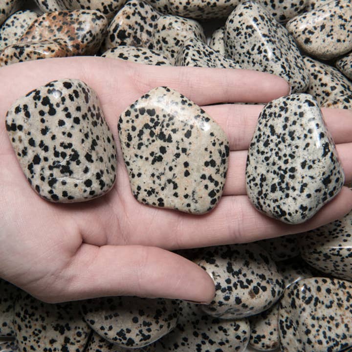 Fantasia Mining - Wholesale Spiritual Stone/Crystal - Tumbled Dalmatian Jasper - XL - A Grade - Brazil (1 lb)1