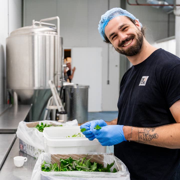 Full Circle - Wholesale Liqueur - Shiso Purple 700 ml – Floral Liqueur from Shiso & Plum3