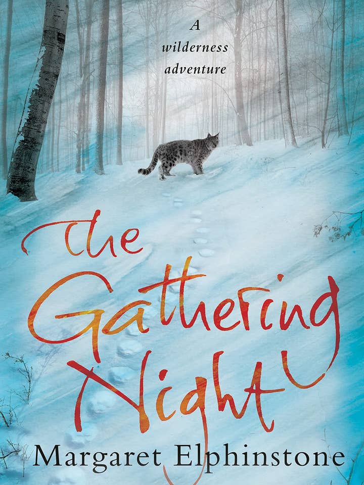 Gathering Night by Margaret Elphinstone for wholesale by Boon Books