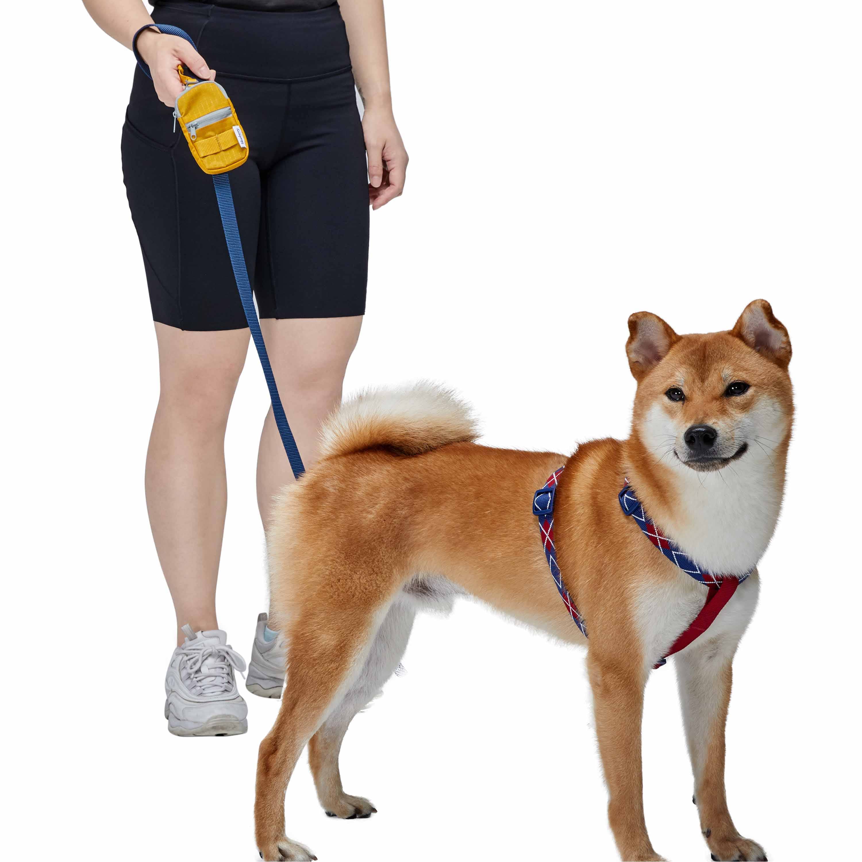 Blueberry Pet - Wholesale Novelty Candle - 1pc Dog Waste Bag Dispenser - Includes 1 Roll of Free Poop 33