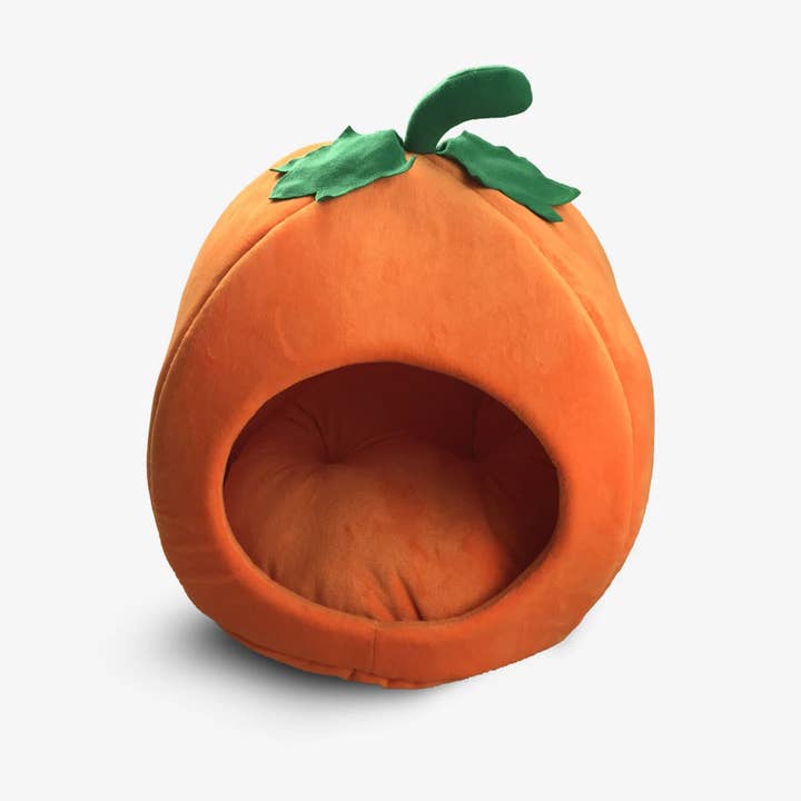 NANDOG Pumpkin Cat Dog & Cat Fun Bed Prive for wholesale by Nandog Pet Gear Florida Authorized Reseller