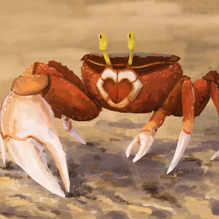 Puzzle de 54 Peças de Caranguejo Violinista por atacado de The Good Boy Collective