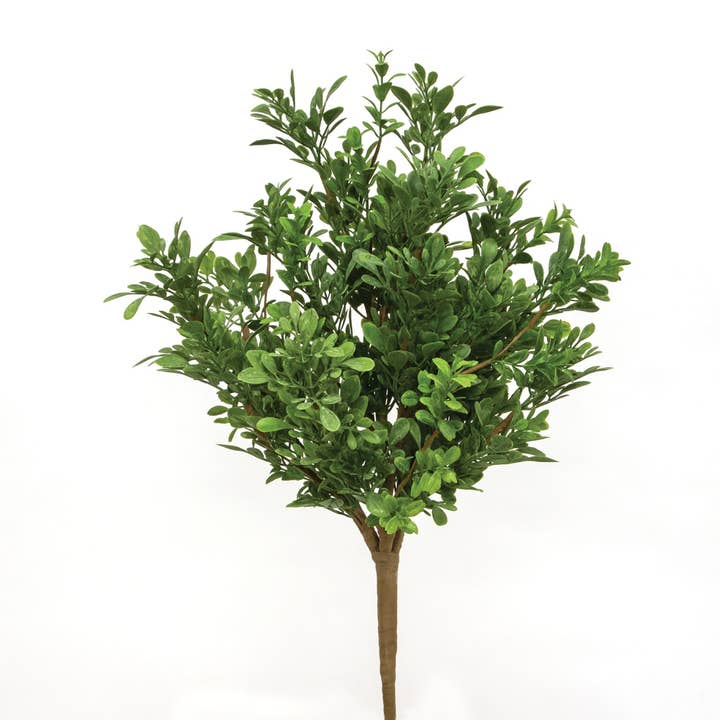 Saybrook Lane - Wholesale Artificial Plant - Heritage Boxwood Bush, 19"