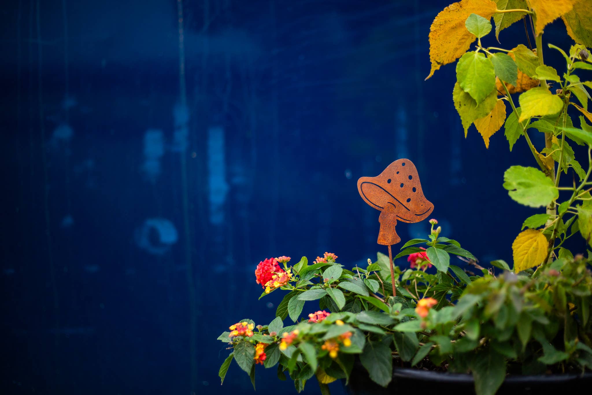 Elegant Garden Design - Vente Piquets de jardin/pelouse - Piques à champignons - Lot de cinq11