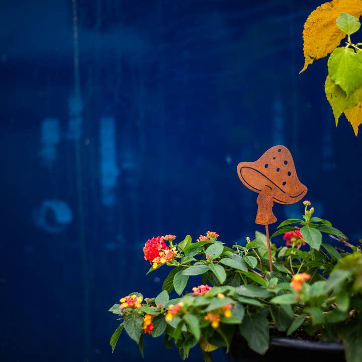 Elegant Garden Design - Vente Piquets de jardin/pelouse - Piques à champignons - Lot de cinq11