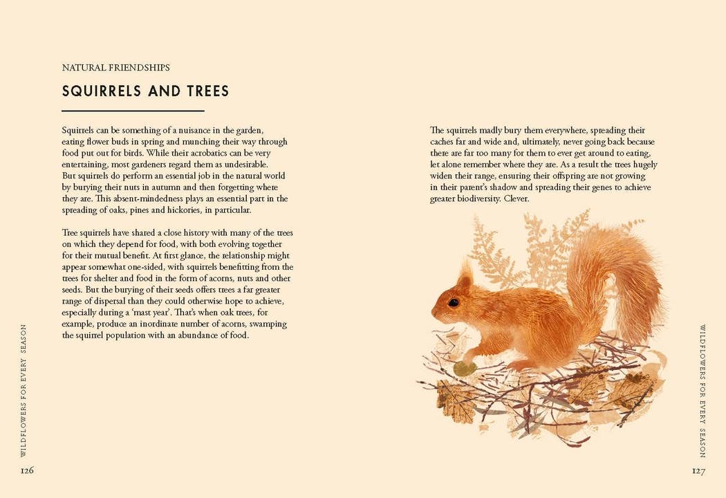 Chronicle Books - Wholesale Nature & Outdoors Book - Planting Wildflowers9