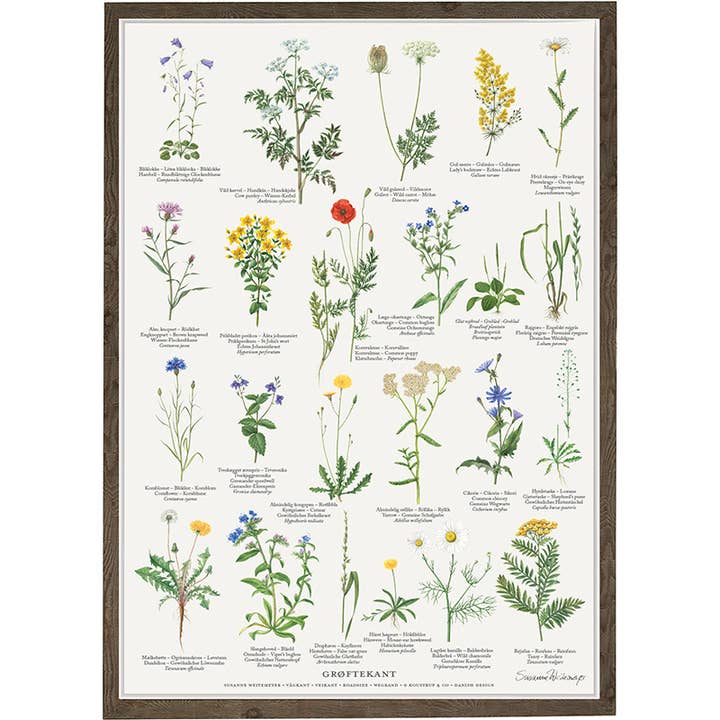 Koustrupco – Engroshandel Plakat – Plakat A4 Hedgerow - fremstillet i Europa