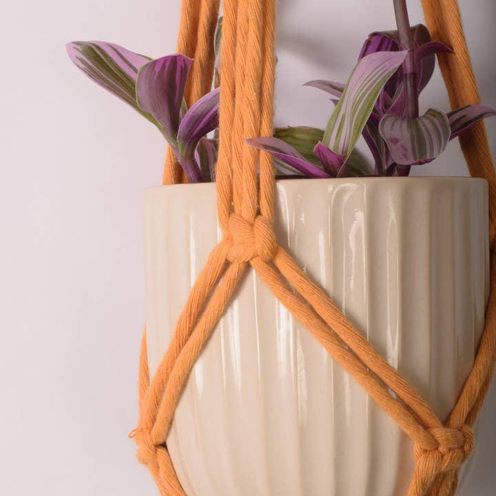 Minimalist Plant Hanger for wholesale by Ilex Home