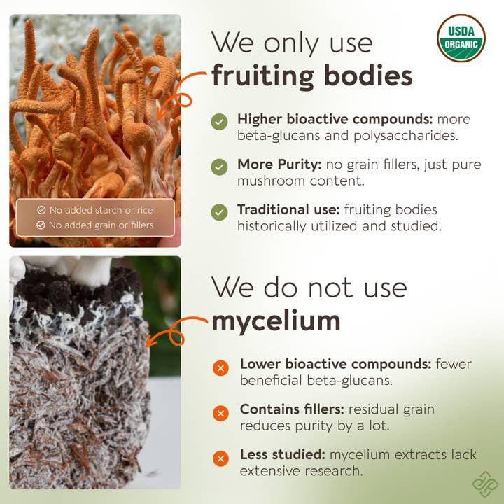 Longevity Botanicals - Wholesale Protein/Superfood Powder - Organic Cordyceps Mushroom Extract Powder 100g