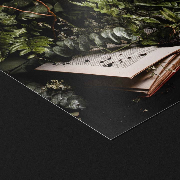 Alyssa Thorne - Wholesale Art Print - Hinterland Overgrowth | Art Print | Dark Bookish Forest 2