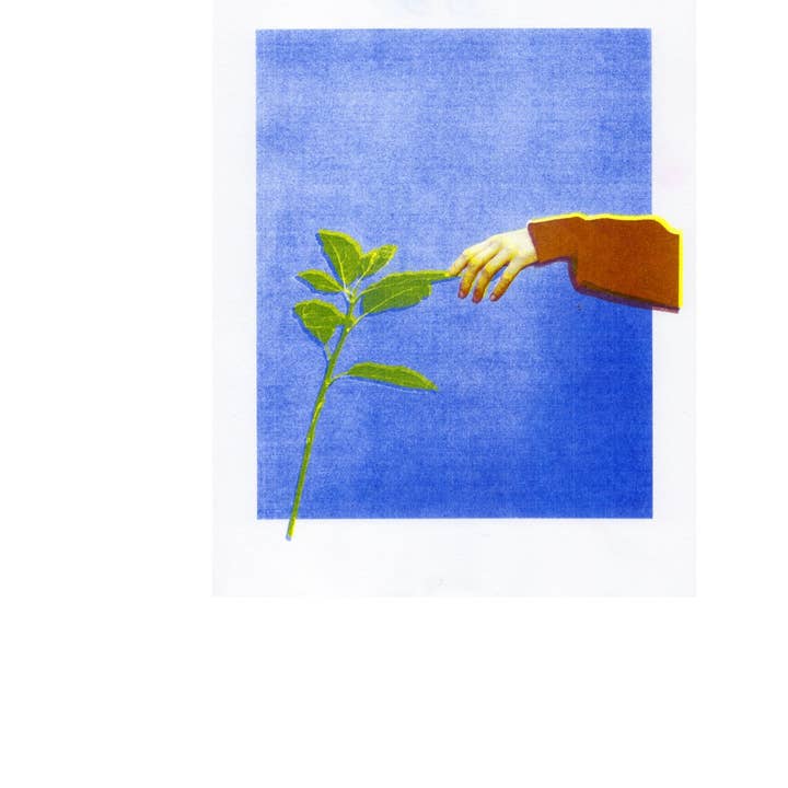 Fridas hus för wholesale av bylindseykusterman