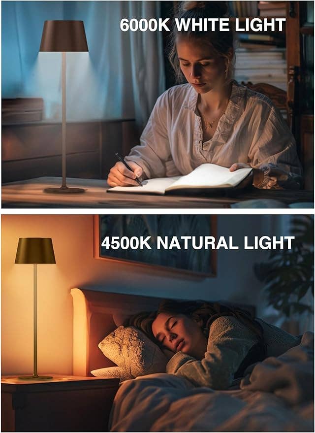 LivingTaste Home Inc - Wholesale Accent/Desk Lamp - 2-Pack Cordless 5000mAh Rechargeable LED Table Brown Lamp5