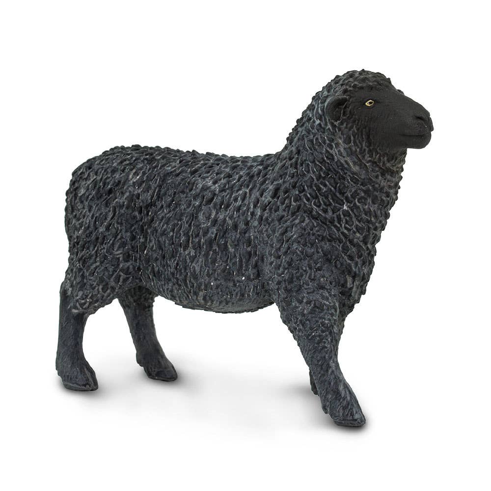 Safari Ltd. - Wholesale Figurine Toy - Kids - Black Sheep Figurine Toy - Kids1