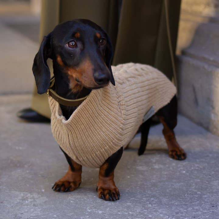 Dog sweater for dachshunds by Leopold's for wholesale by Leopold's Finest for dogs